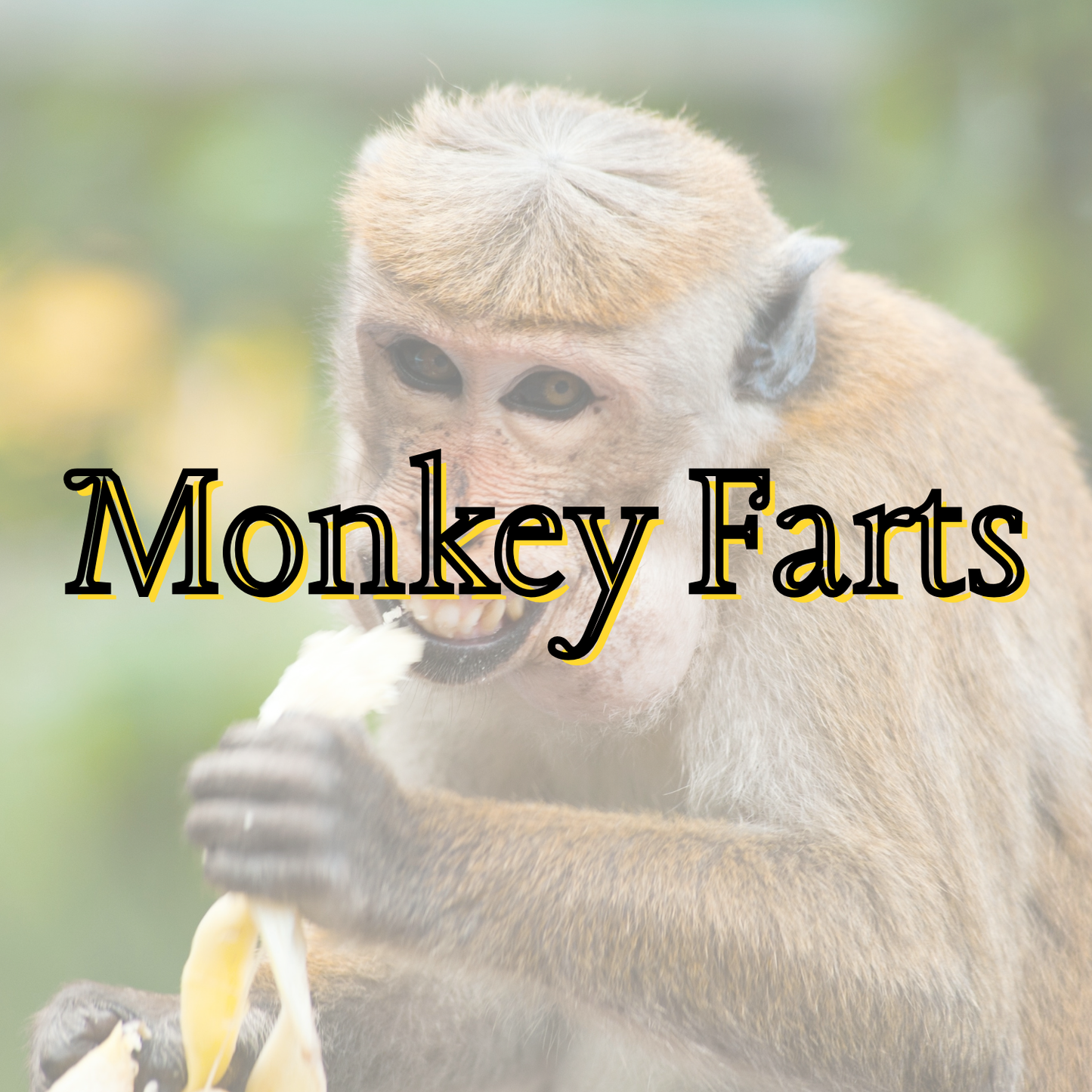 Monkey Farts Pre-Scented Beads