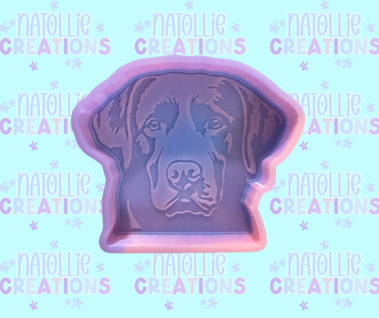 Lab Freshie Silicone Mold
