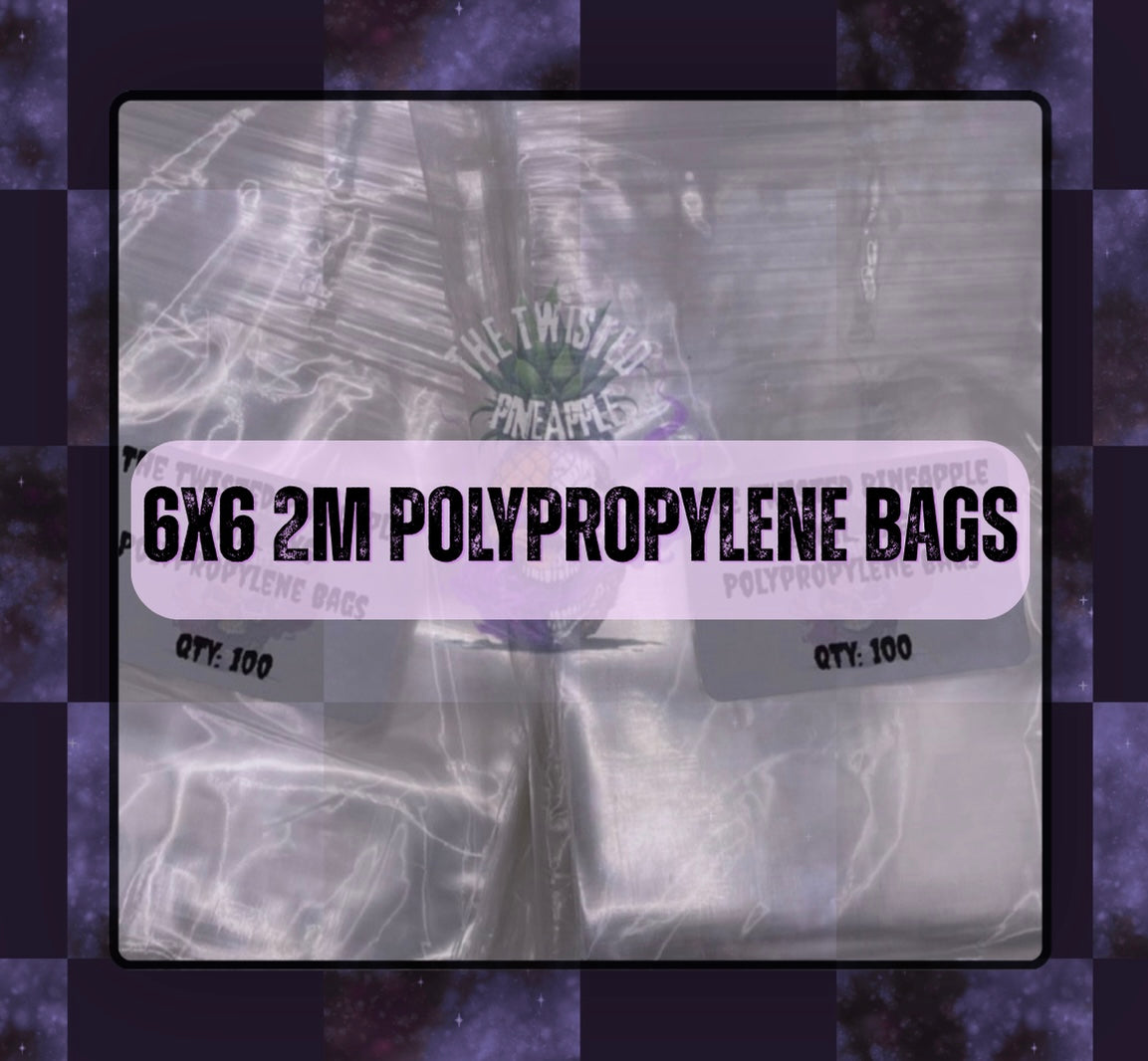 6x6 2 MIL Polypropylene Bags