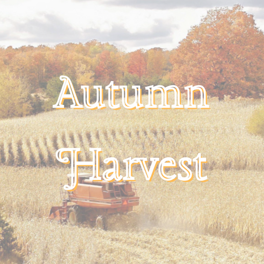 Autumn Harvest Pre-Scented Beads